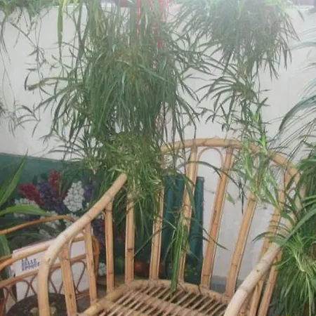 فندق مبيت وإفطار The Secret Schoolgarden